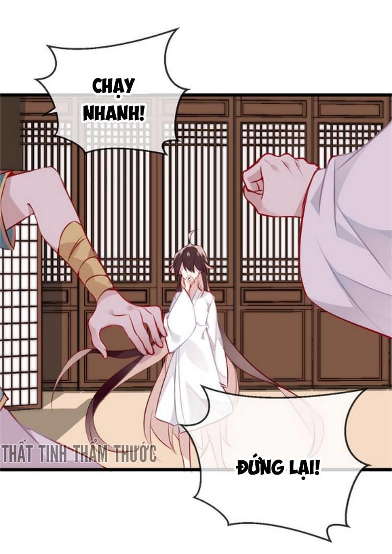 Ngô Hoàng Tại Thượng Chapter 20 - Trang 2