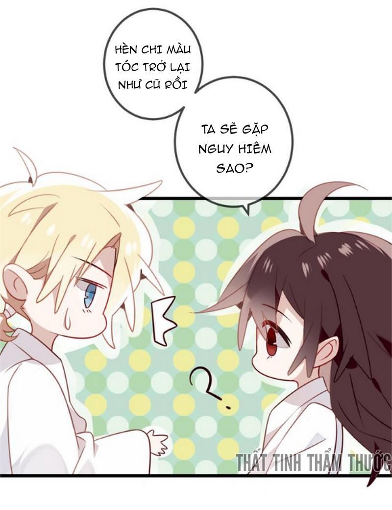 Ngô Hoàng Tại Thượng Chapter 21 - Trang 2