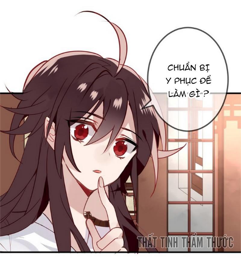 Ngô Hoàng Tại Thượng Chapter 21 - Trang 2