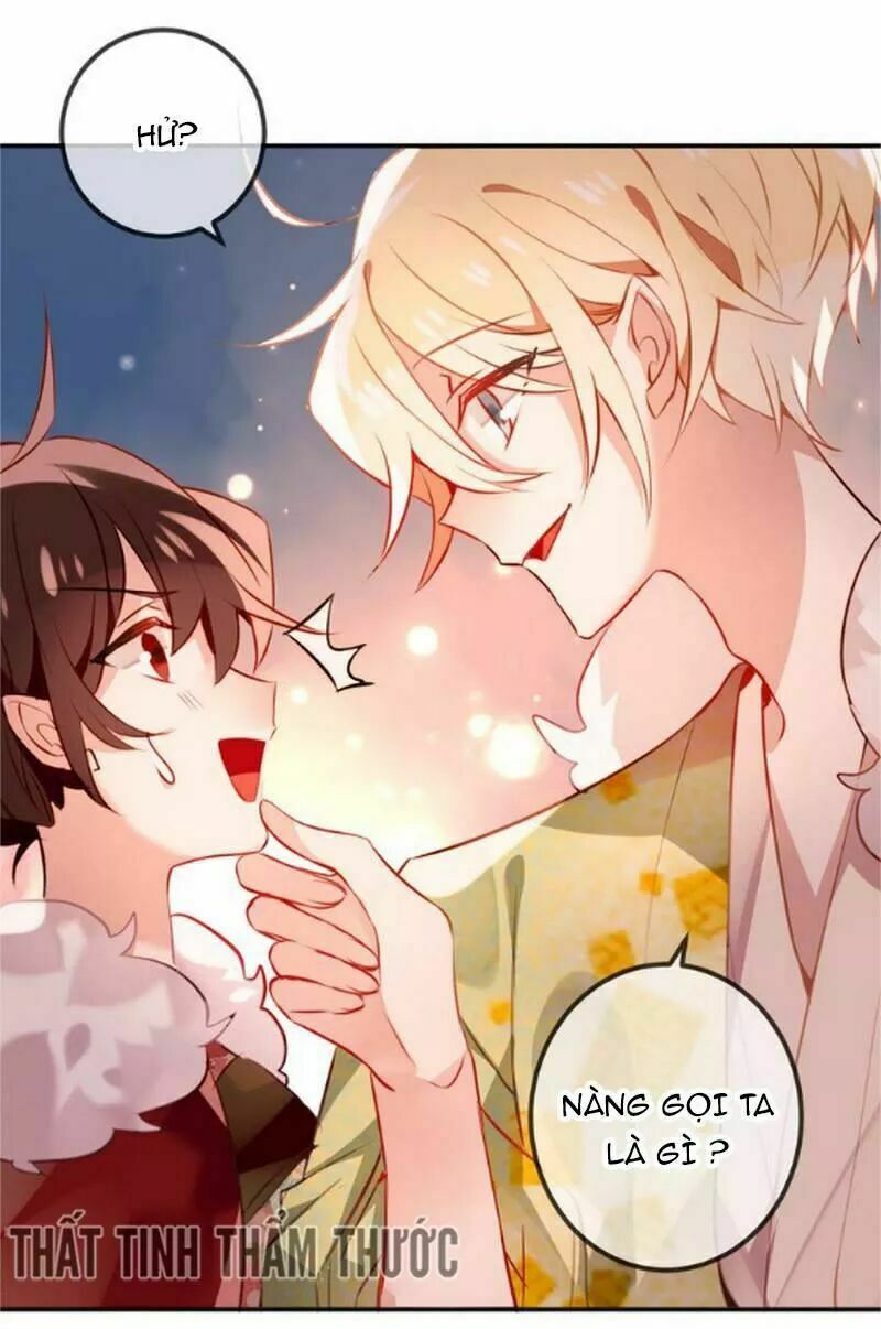 Ngô Hoàng Tại Thượng Chapter 22 - Trang 2