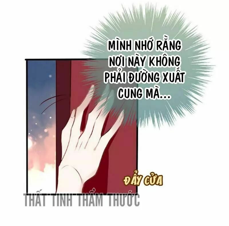 Ngô Hoàng Tại Thượng Chapter 22 - Trang 2