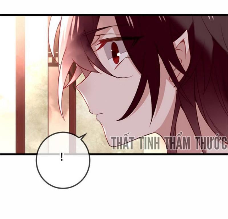 Ngô Hoàng Tại Thượng Chapter 23 - Trang 2