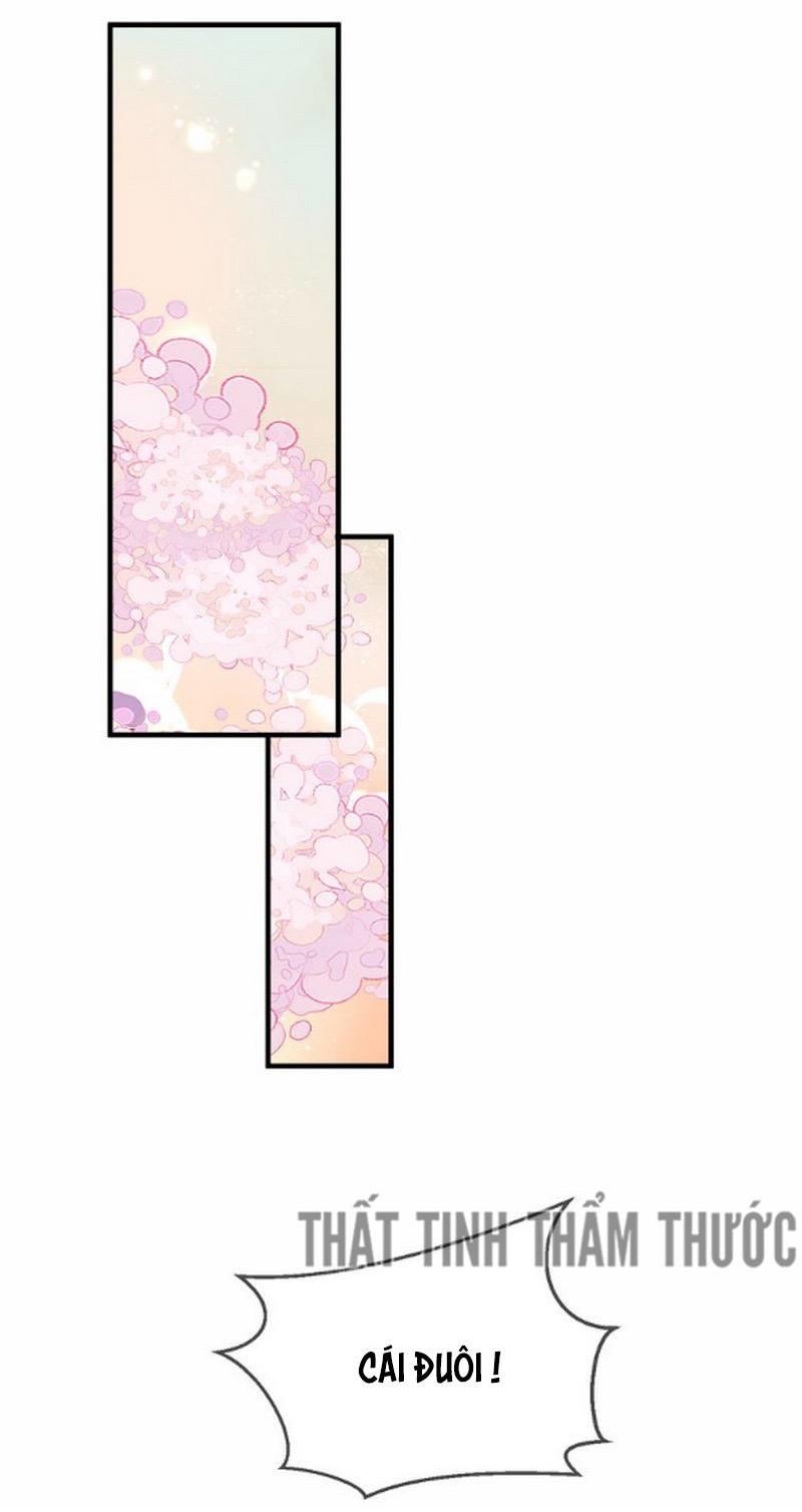 Ngô Hoàng Tại Thượng Chapter 24 - Trang 2