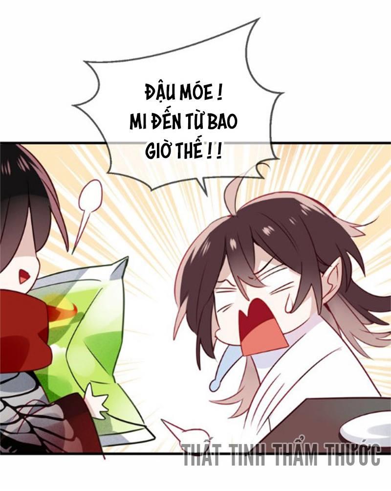 Ngô Hoàng Tại Thượng Chapter 26 - Trang 2