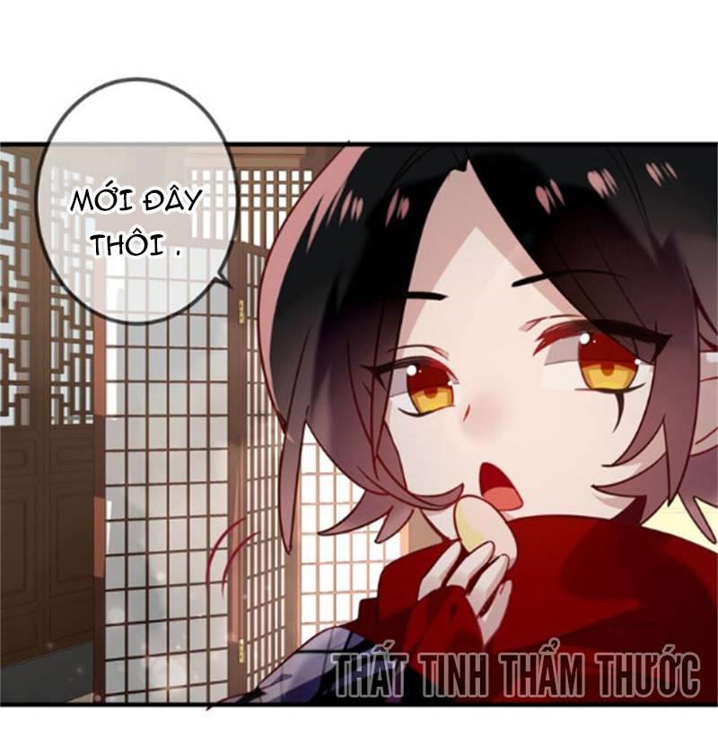 Ngô Hoàng Tại Thượng Chapter 26 - Trang 2