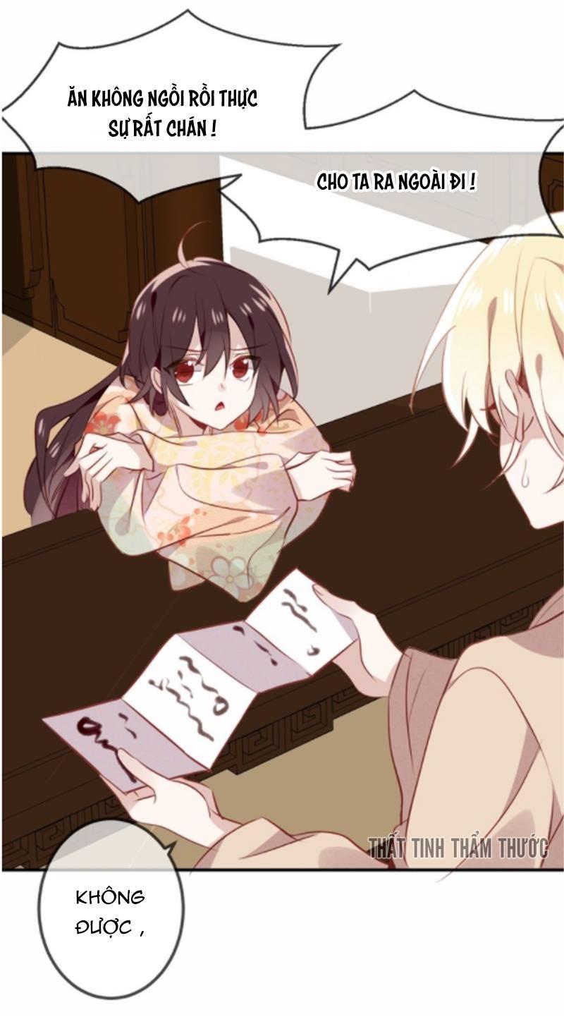 Ngô Hoàng Tại Thượng Chapter 27 - Trang 2