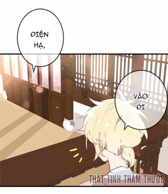 Ngô Hoàng Tại Thượng Chapter 28 - Trang 2