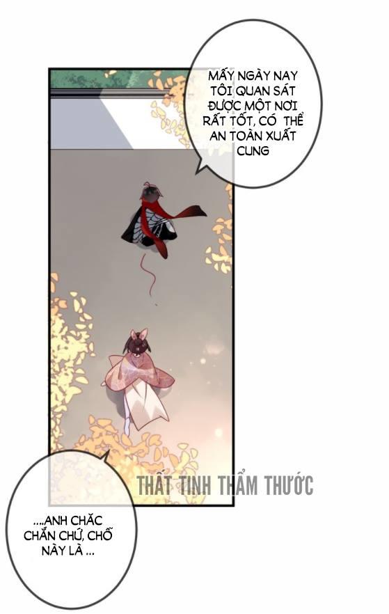 Ngô Hoàng Tại Thượng Chapter 29 - Trang 2