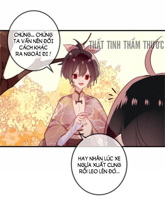 Ngô Hoàng Tại Thượng Chapter 29 - Trang 2