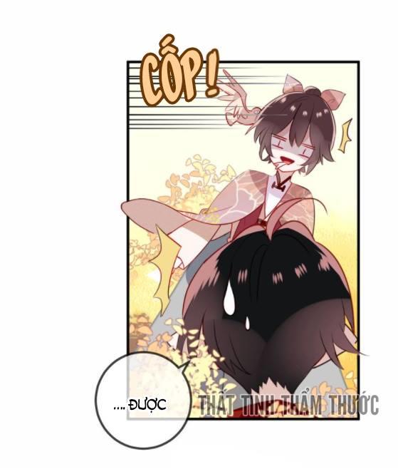 Ngô Hoàng Tại Thượng Chapter 29 - Trang 2