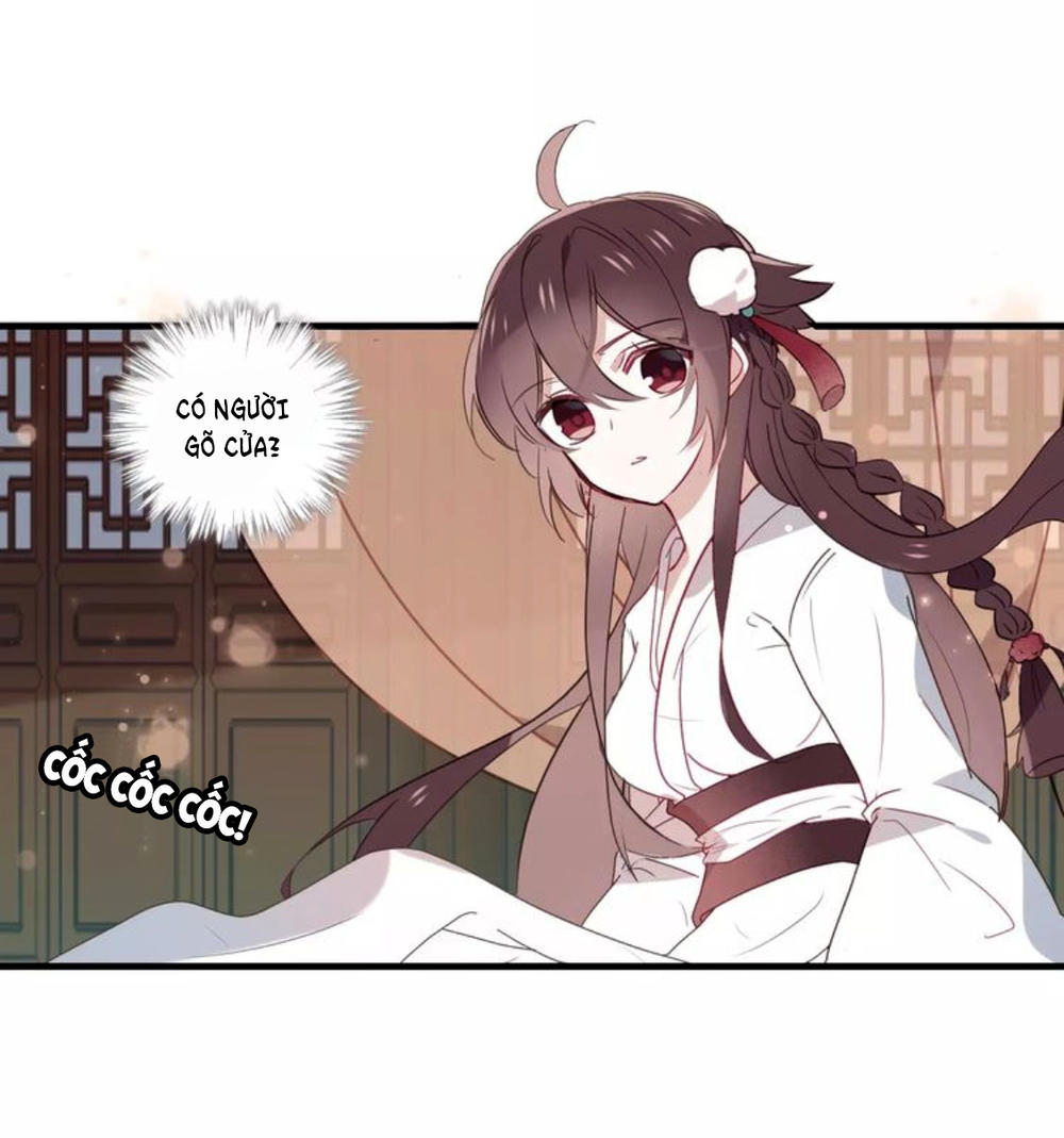 Ngô Hoàng Tại Thượng Chapter 3 - Trang 2