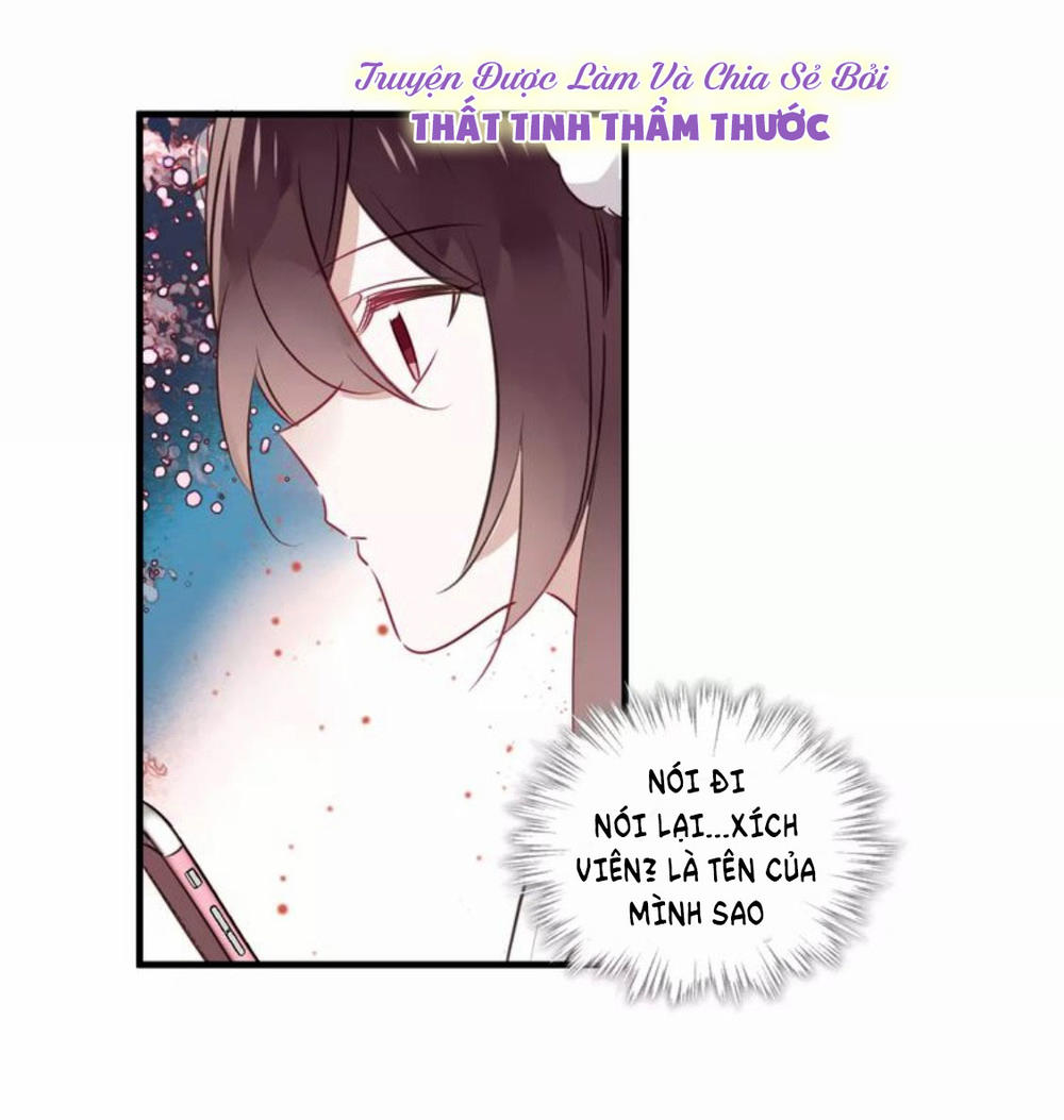 Ngô Hoàng Tại Thượng Chapter 3 - Trang 2