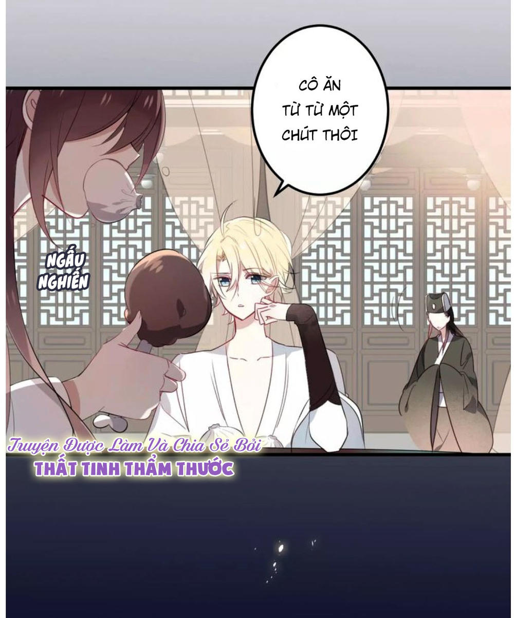 Ngô Hoàng Tại Thượng Chapter 3 - Trang 2