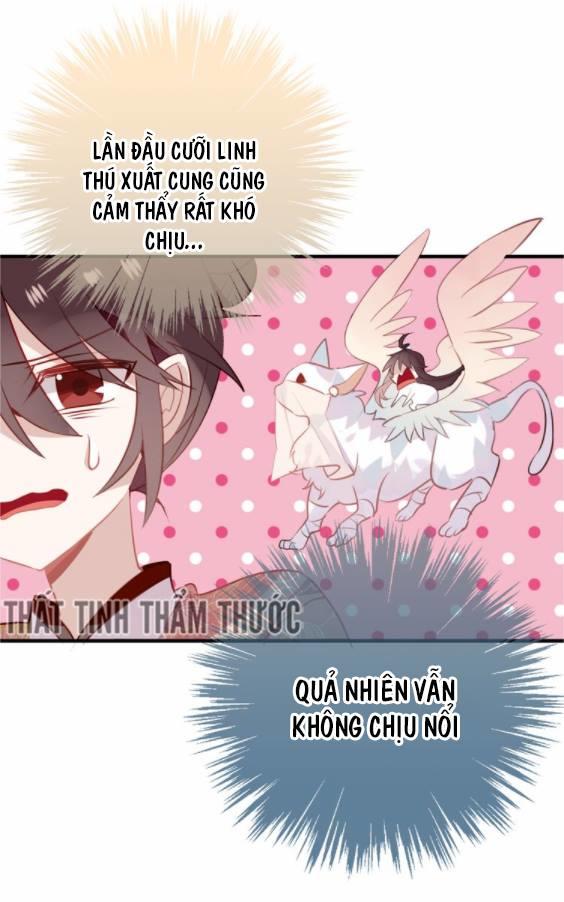 Ngô Hoàng Tại Thượng Chapter 30 - Trang 2