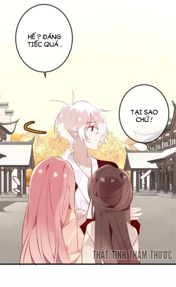Ngô Hoàng Tại Thượng Chapter 35 - Trang 2