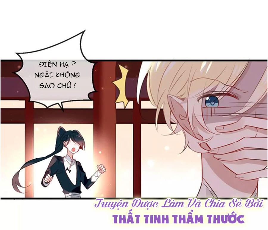 Ngô Hoàng Tại Thượng Chapter 4 - Trang 2