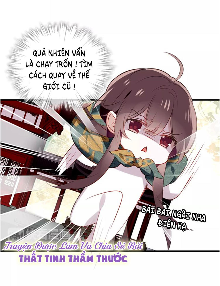 Ngô Hoàng Tại Thượng Chapter 4 - Trang 2