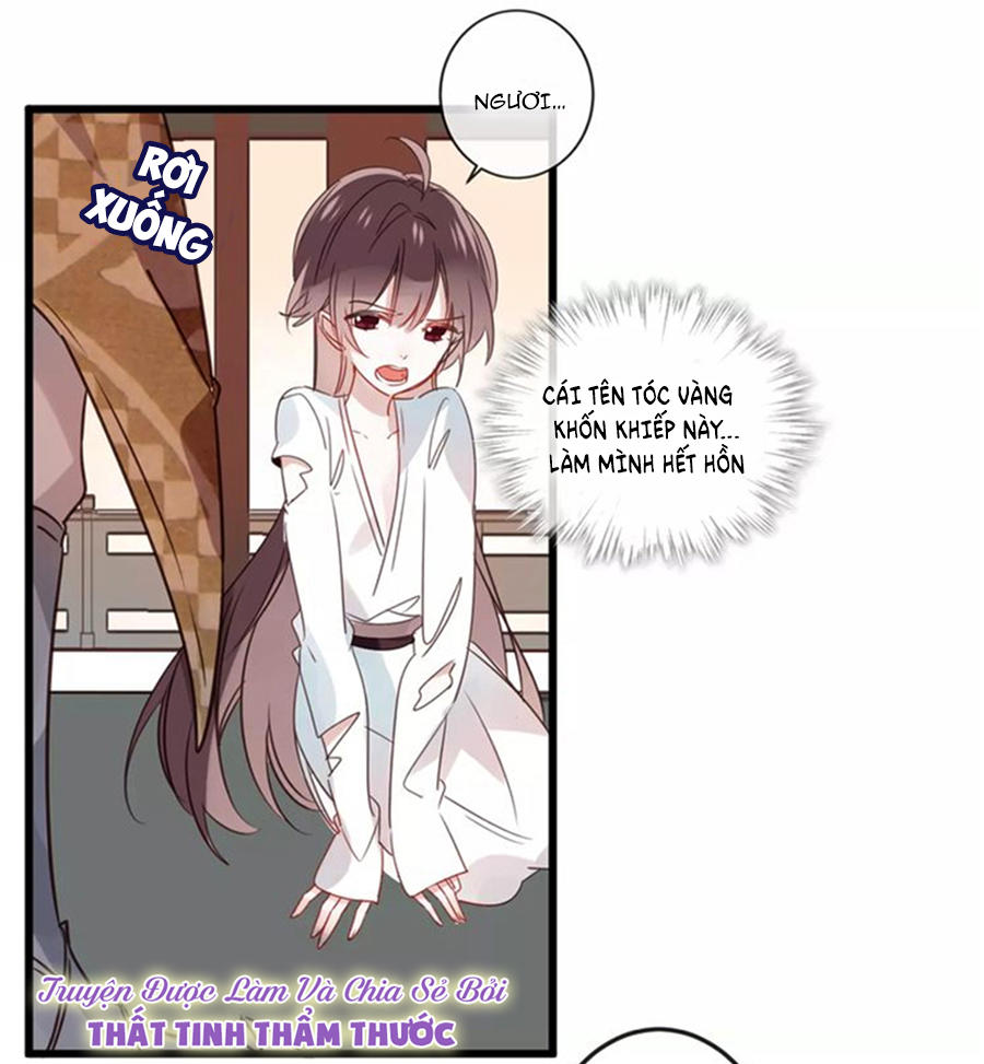 Ngô Hoàng Tại Thượng Chapter 4 - Trang 2