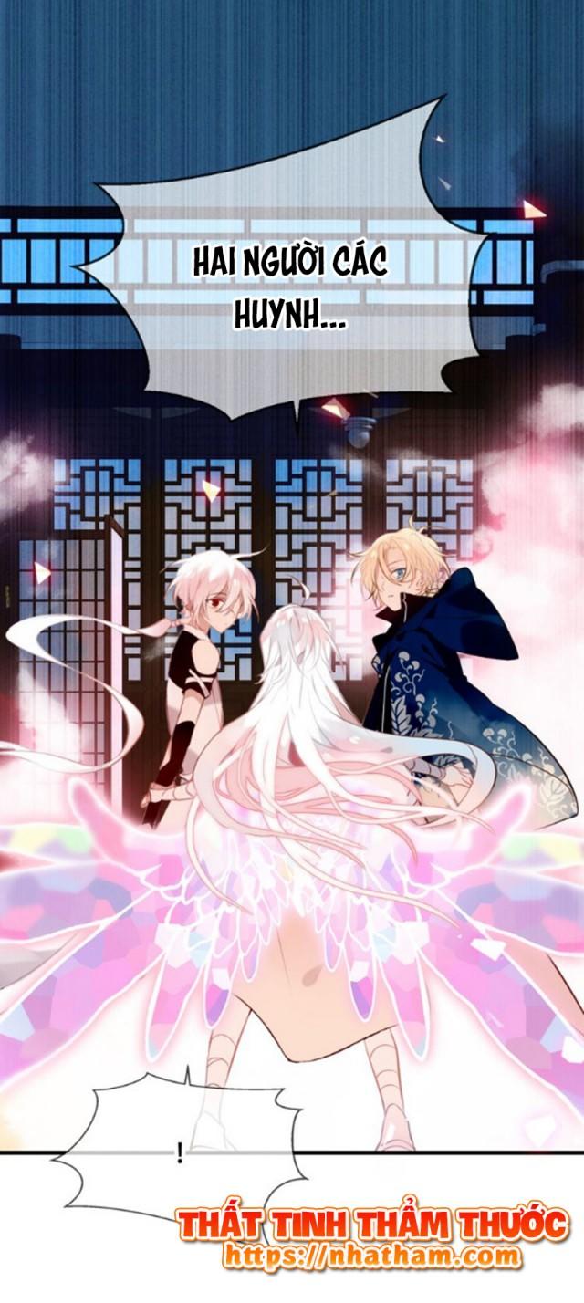 Ngô Hoàng Tại Thượng Chapter 40 - Trang 2