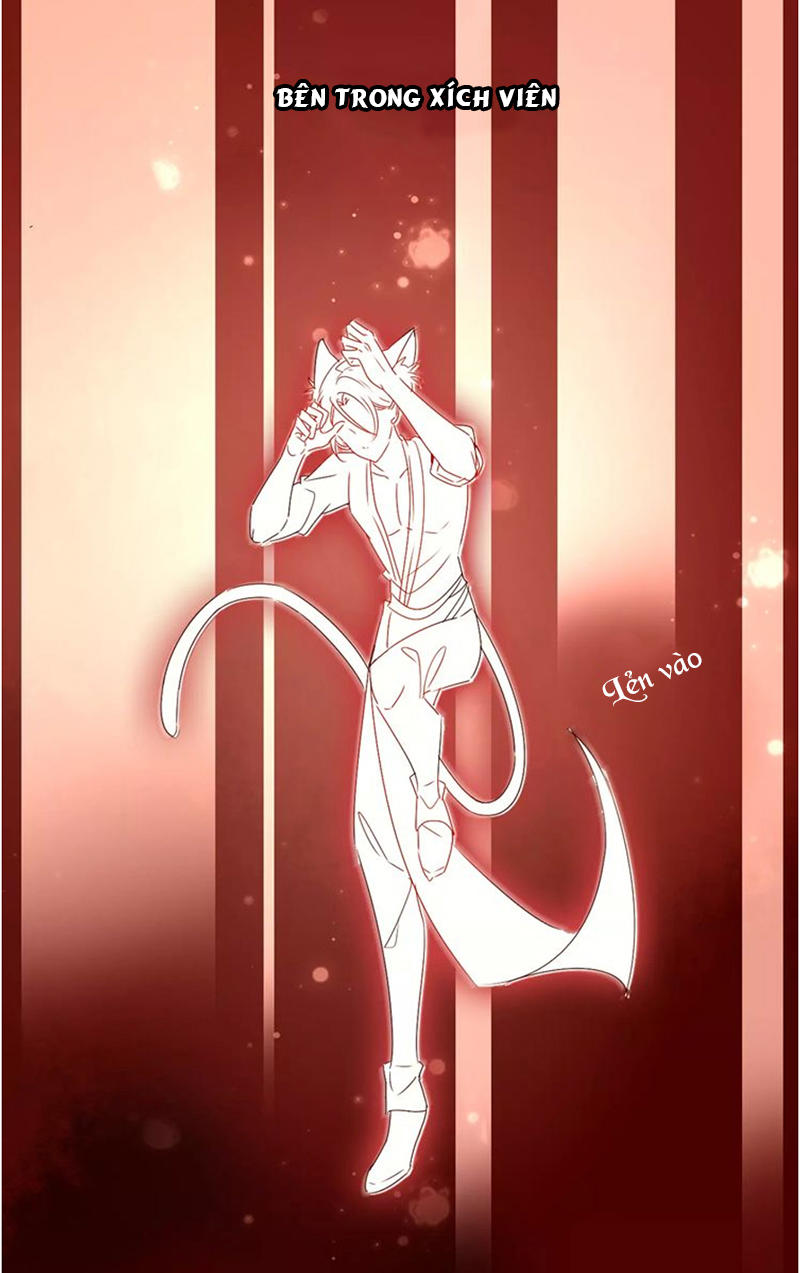 Ngô Hoàng Tại Thượng Chapter 5 - Trang 2