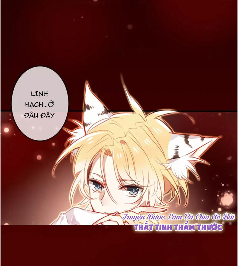 Ngô Hoàng Tại Thượng Chapter 5 - Trang 2