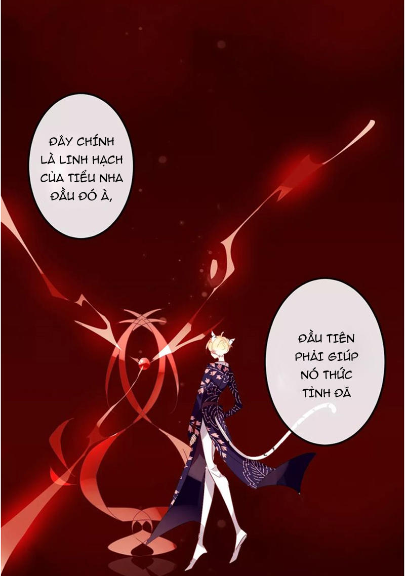 Ngô Hoàng Tại Thượng Chapter 5 - Trang 2