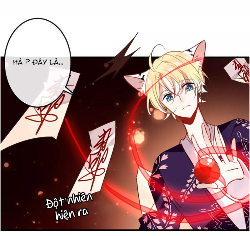 Ngô Hoàng Tại Thượng Chapter 5 - Trang 2