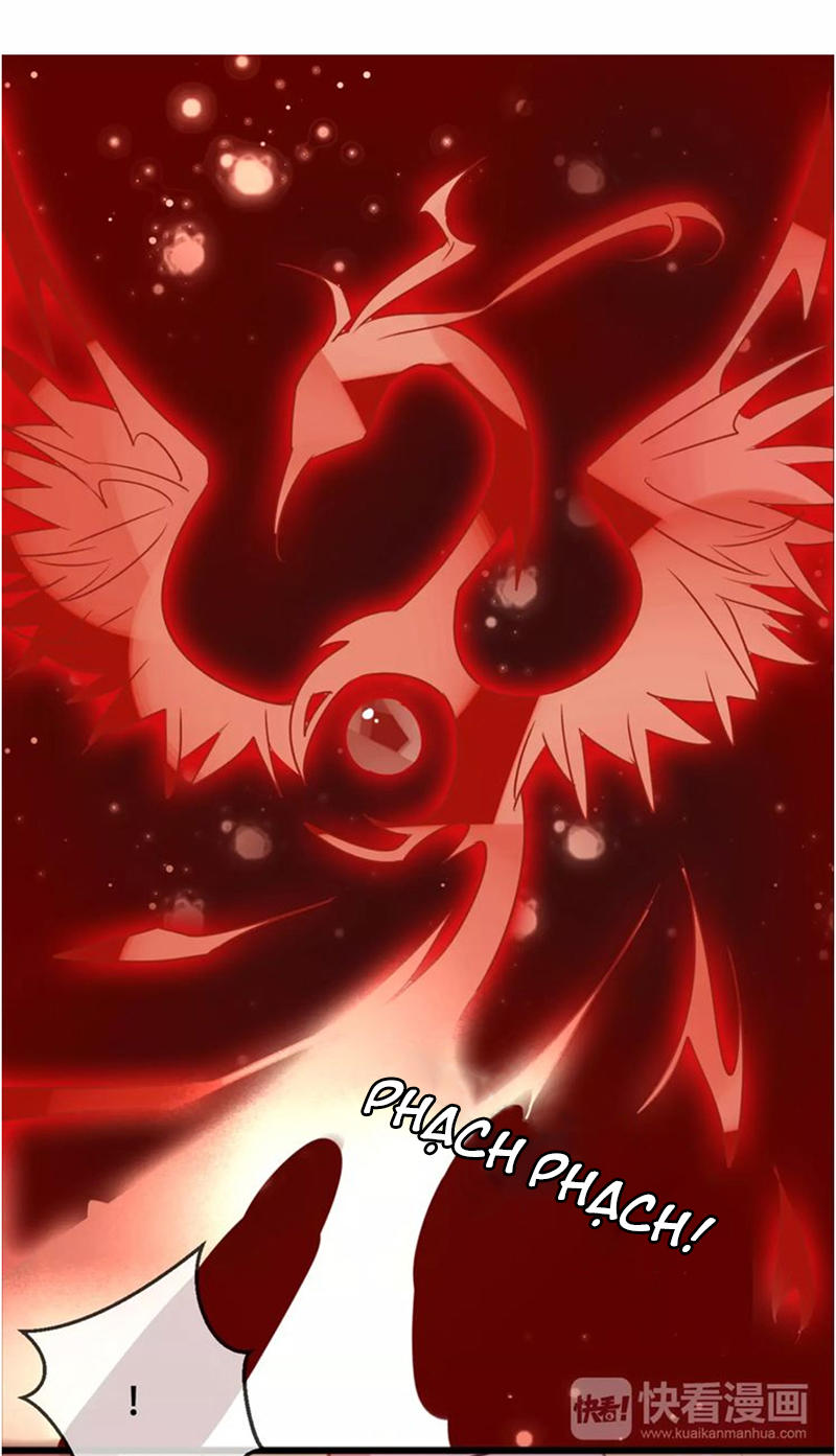 Ngô Hoàng Tại Thượng Chapter 5 - Trang 2