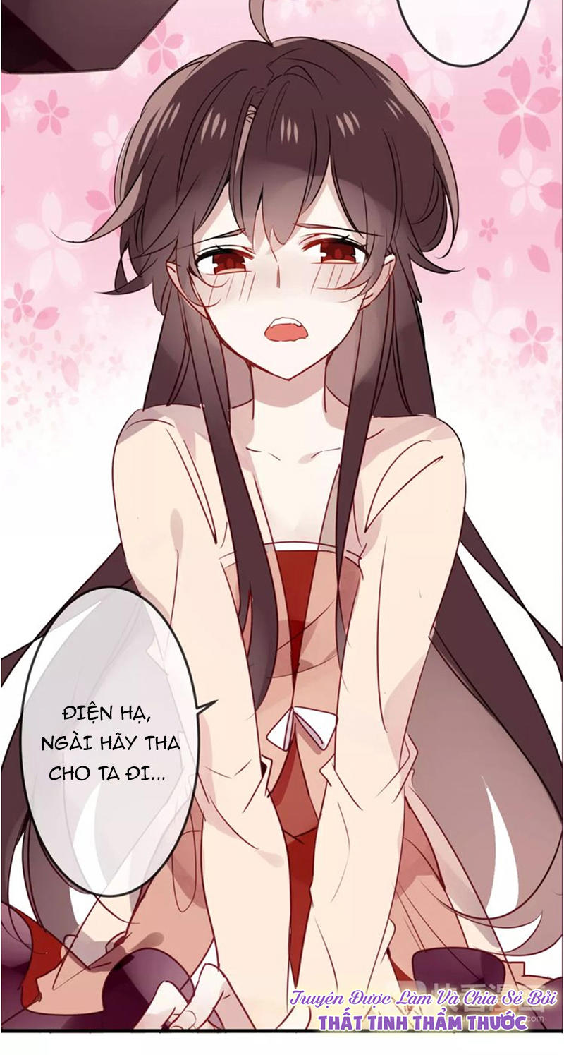 Ngô Hoàng Tại Thượng Chapter 5 - Trang 2