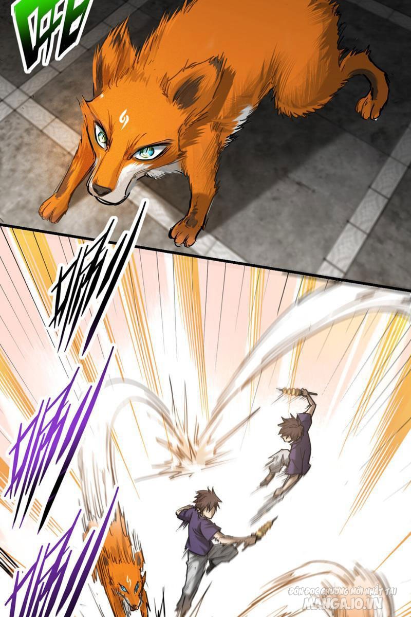 Ngô Mệnh Phụng Thiên Chapter 1 - Trang 2