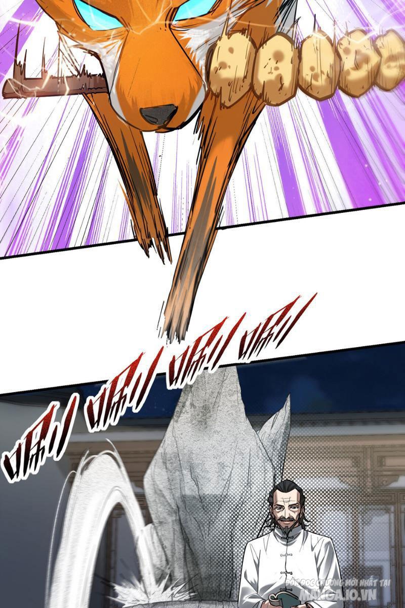 Ngô Mệnh Phụng Thiên Chapter 1 - Trang 2