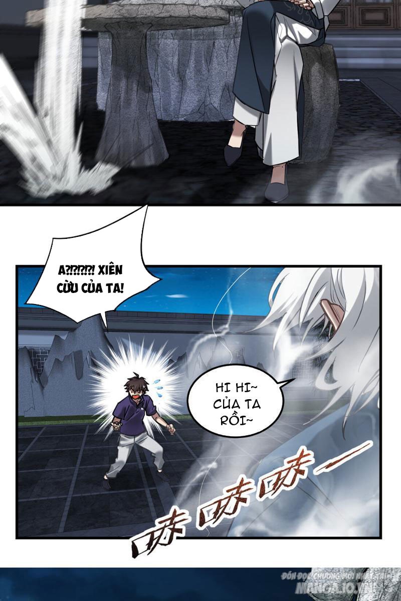 Ngô Mệnh Phụng Thiên Chapter 1 - Trang 2