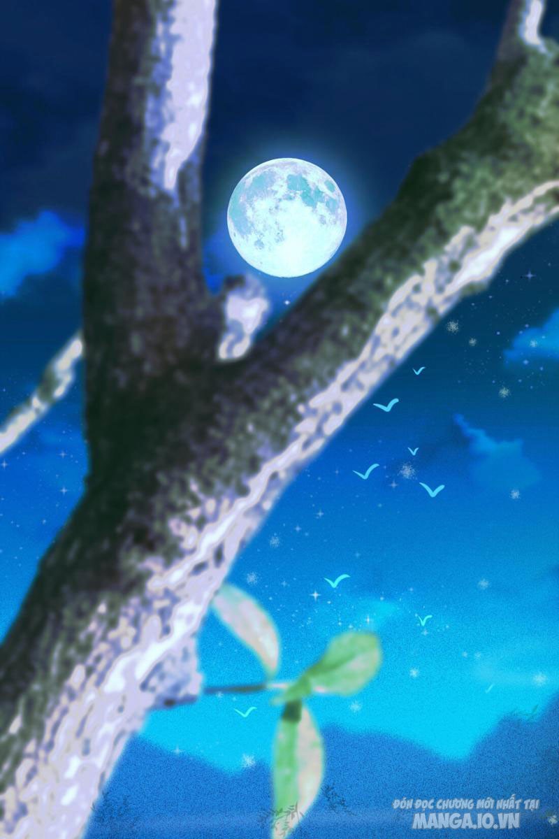 Ngô Mệnh Phụng Thiên Chapter 1 - Trang 2