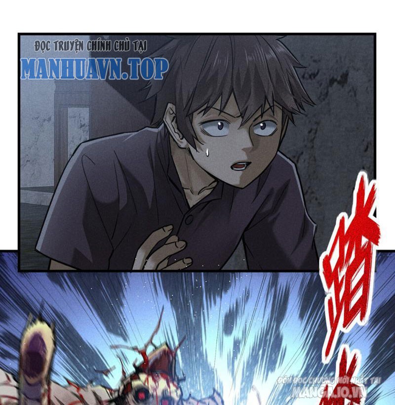 Ngô Mệnh Phụng Thiên Chapter 1 - Trang 2