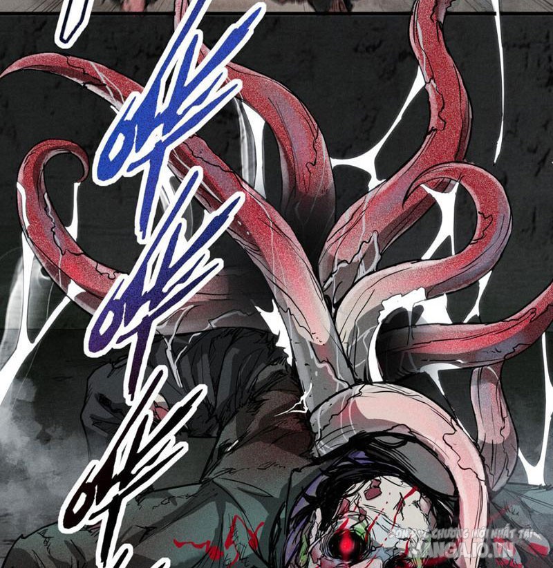 Ngô Mệnh Phụng Thiên Chapter 1 - Trang 2