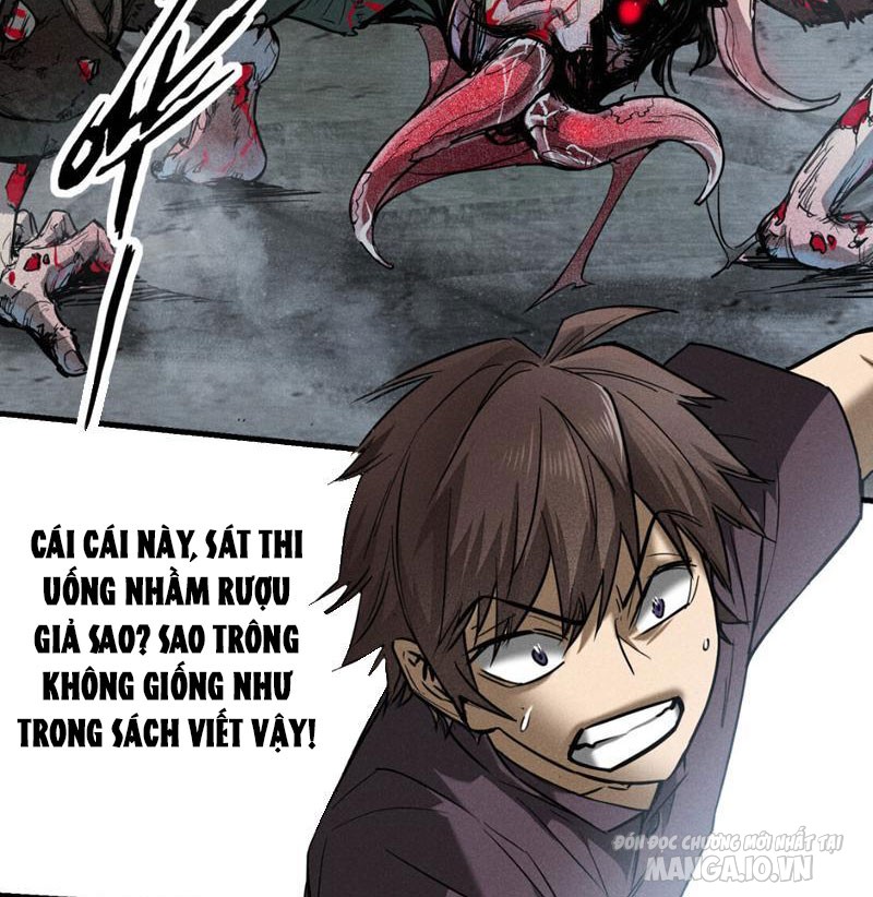 Ngô Mệnh Phụng Thiên Chapter 1 - Trang 2