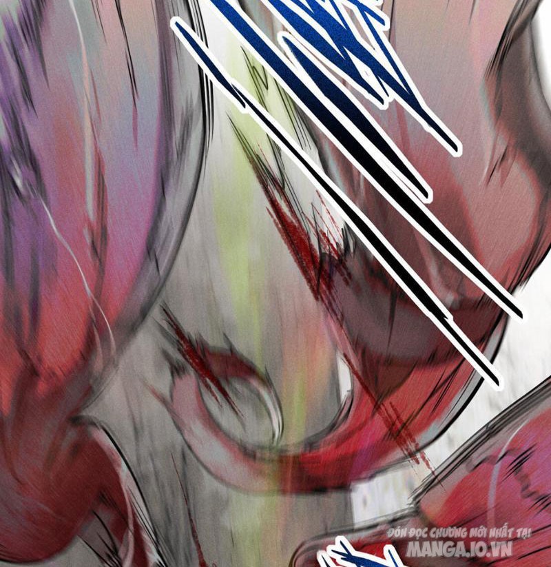 Ngô Mệnh Phụng Thiên Chapter 1 - Trang 2