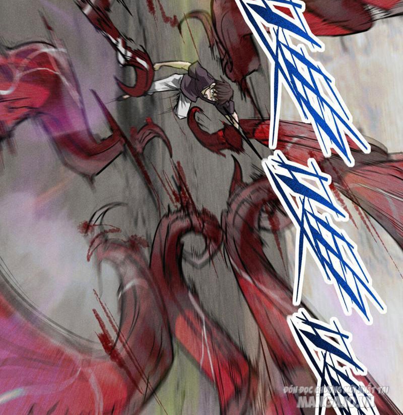 Ngô Mệnh Phụng Thiên Chapter 1 - Trang 2