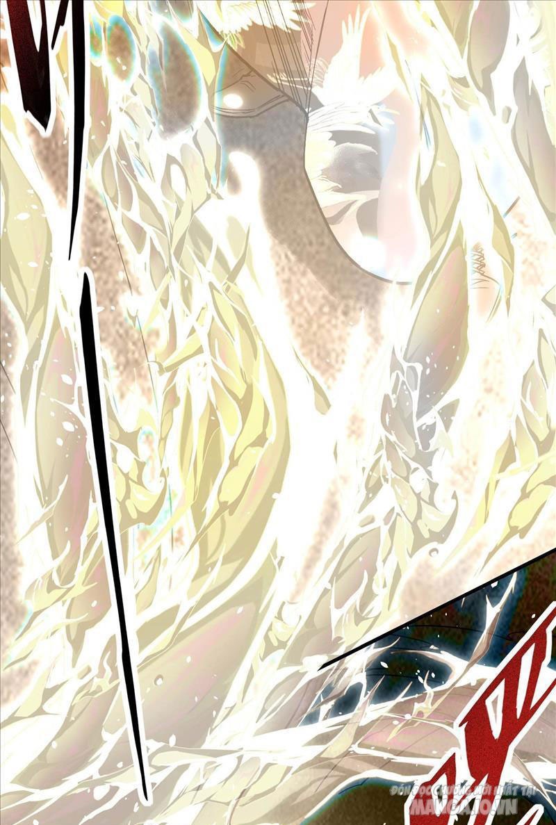 Ngô Mệnh Phụng Thiên Chapter 5 - Trang 2