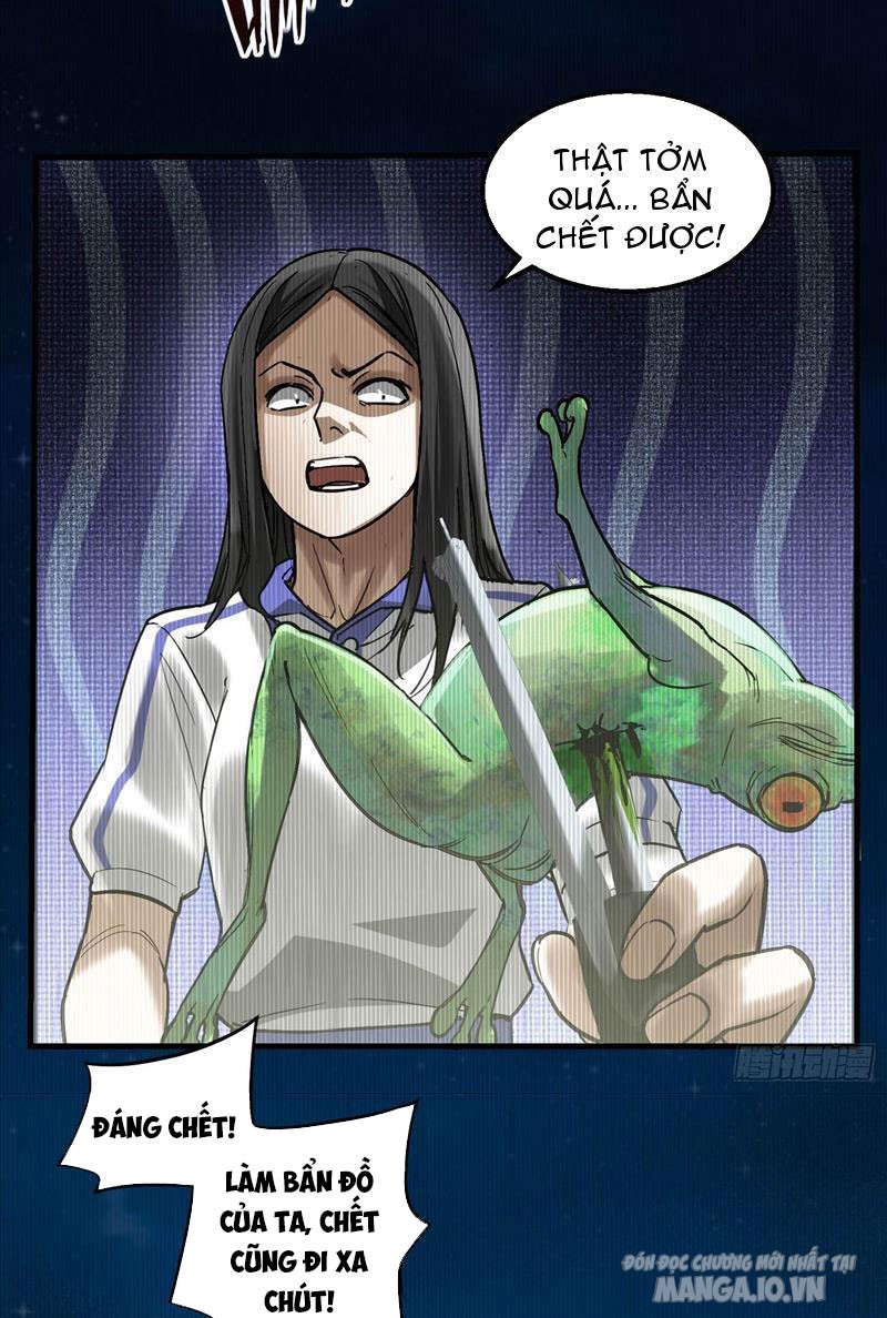 Ngô Mệnh Phụng Thiên Chapter 5 - Trang 2