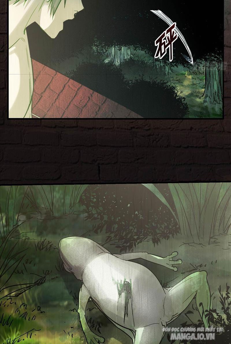 Ngô Mệnh Phụng Thiên Chapter 5 - Trang 2