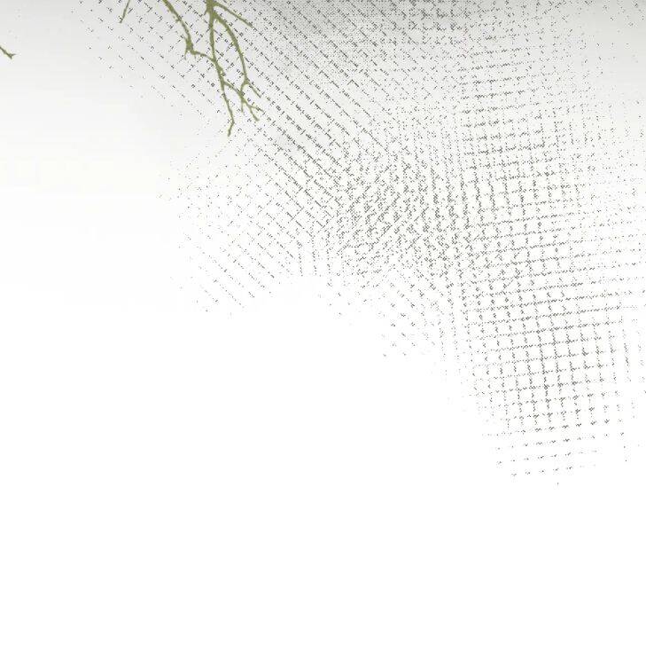 Ngộ Xà Chapter 61 - Trang 2