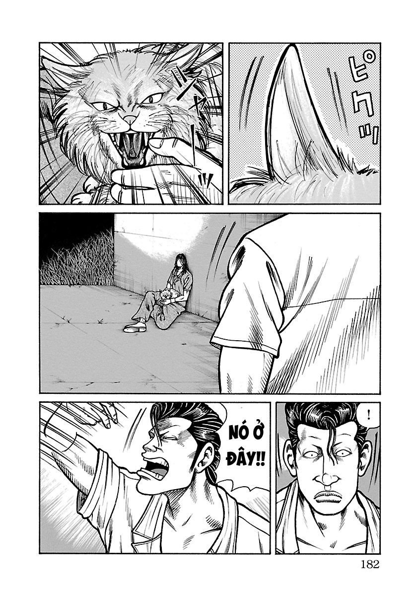 Ngoại Truyện Crows Housenka: Sự Khởi Đầu Của Housen Chapter 27 - Trang 2