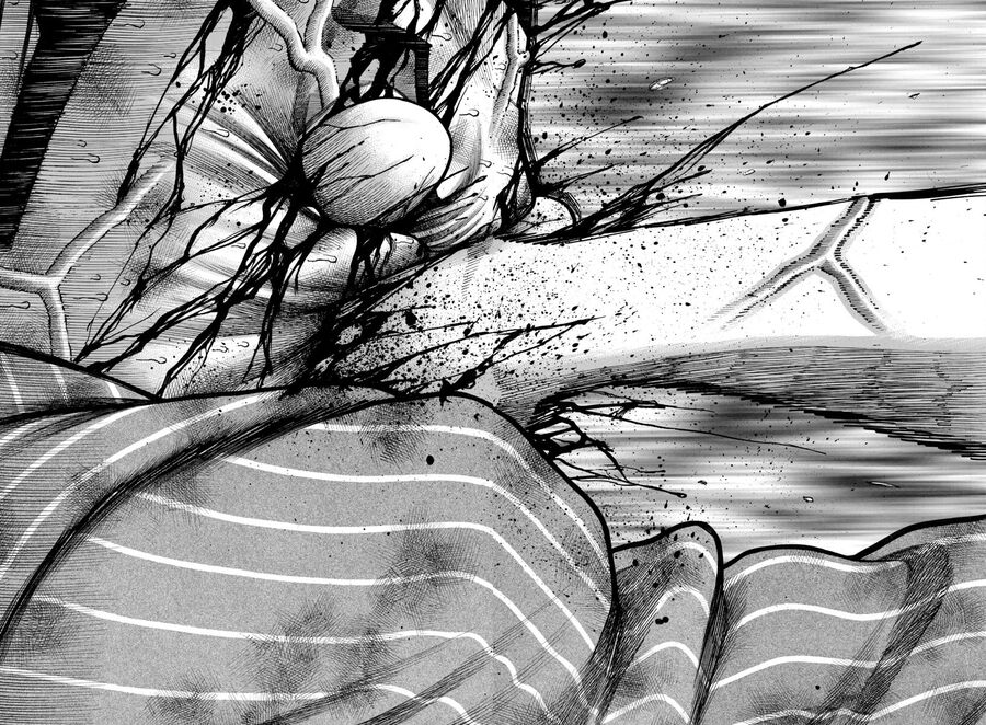 Ngoại Truyện Crows Housenka: Sự Khởi Đầu Của Housen Chapter 71 - Trang 2