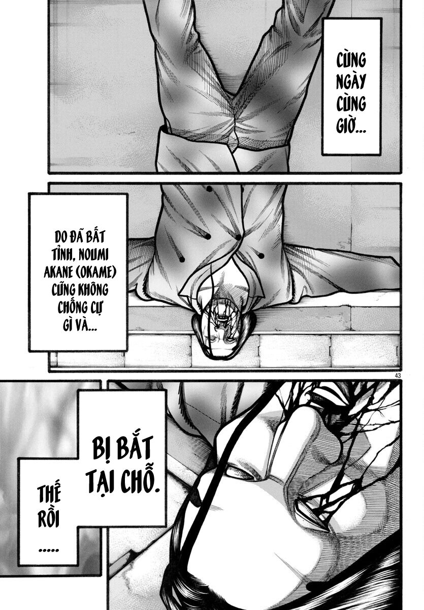Ngoại Truyện Crows Housenka: Sự Khởi Đầu Của Housen Chapter 73 - Trang 2