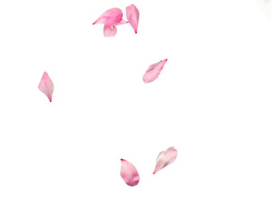 Ngọc Vi Mai Chapter 5 - Trang 2