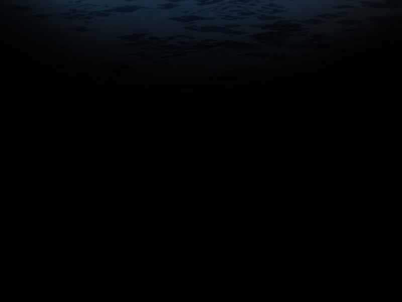 Ngôi Nhà Kết Nối Với Hầm Ngục Chapter 10 - Trang 2