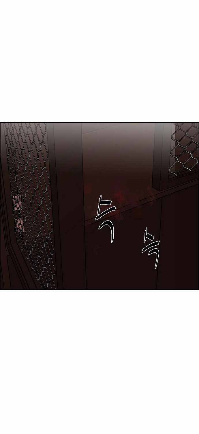 Ngọn Lửa Xanh Chapter 1 - Trang 2