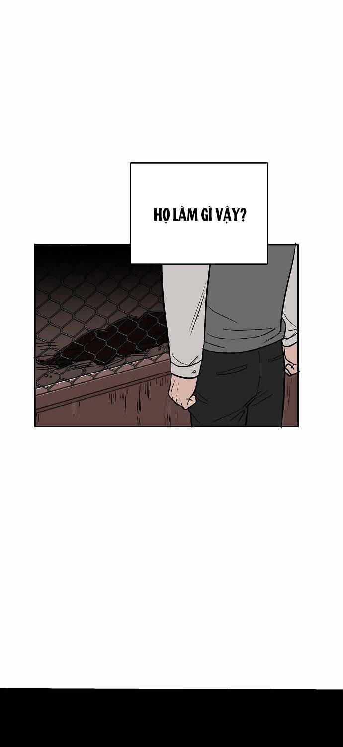 Ngọn Lửa Xanh Chapter 1 - Trang 2