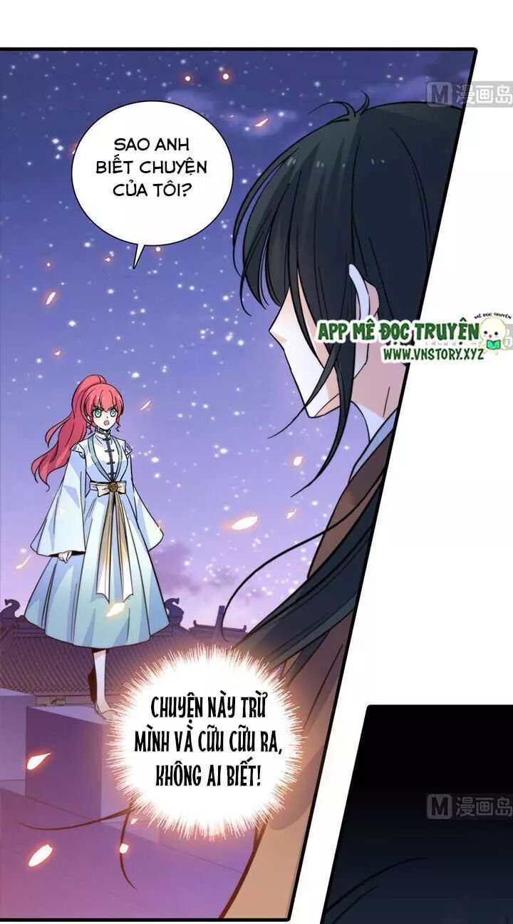 Ngọt Ngào Uy Vũ: Boss Sủng Đến Nghiện Chapter 173 - Trang 2